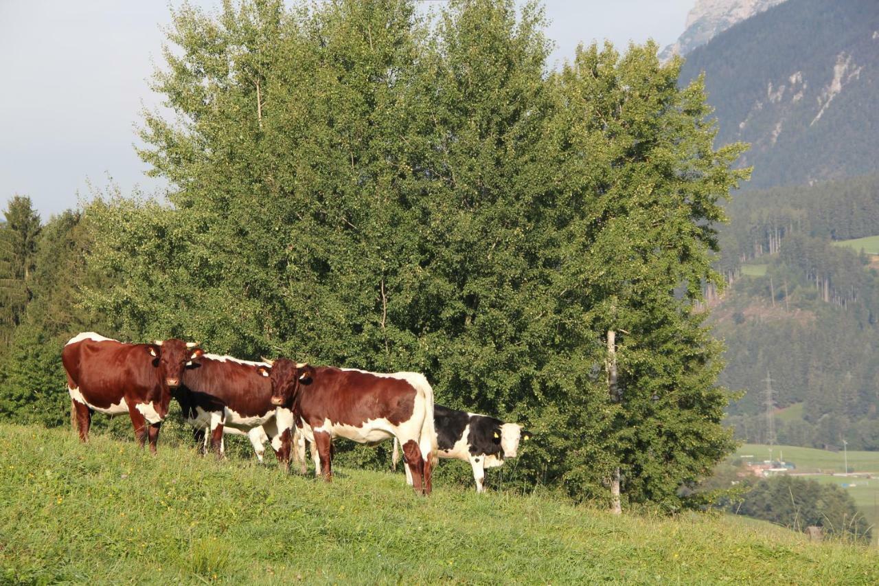Ferienhaus Ennsling Kültér fotó