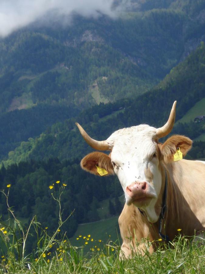 Ferienhaus Ennsling Kültér fotó